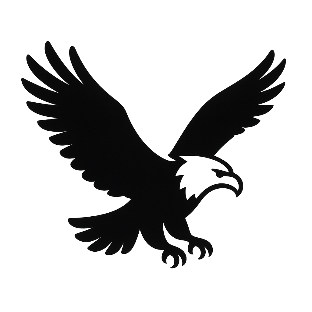 Bald eagle silhouette in flight, no fireworks