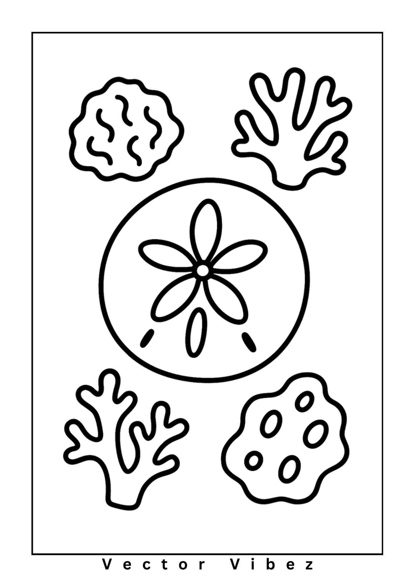 Sand dollar with coral pieces