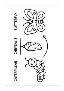 Butterfly Emerging from Chrysalis coloring page, cover of the free Butterfly coloring book for kids